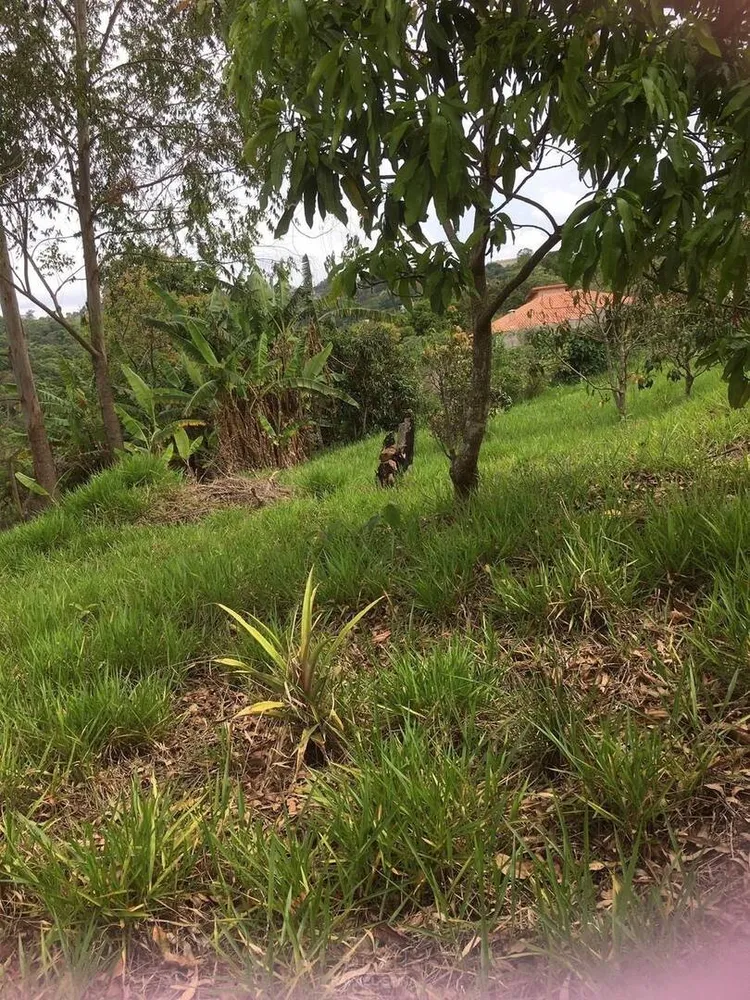 Terreno - Foto 2