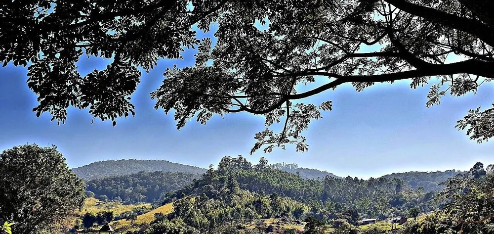 Terreno - Foto 5
