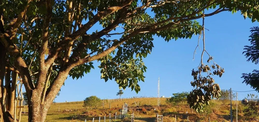 Terreno - Foto 3