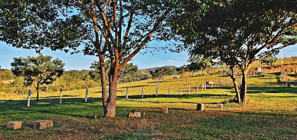 Terreno - Foto 6
