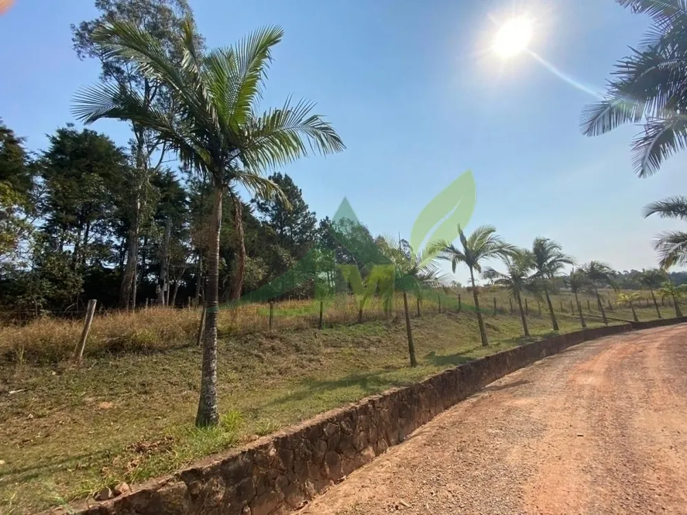 Terreno, 2 hectares - Foto 1