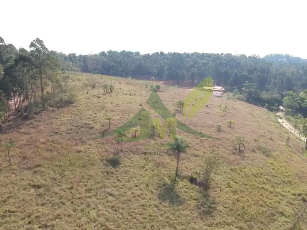Terreno, 2 hectares - Foto 10