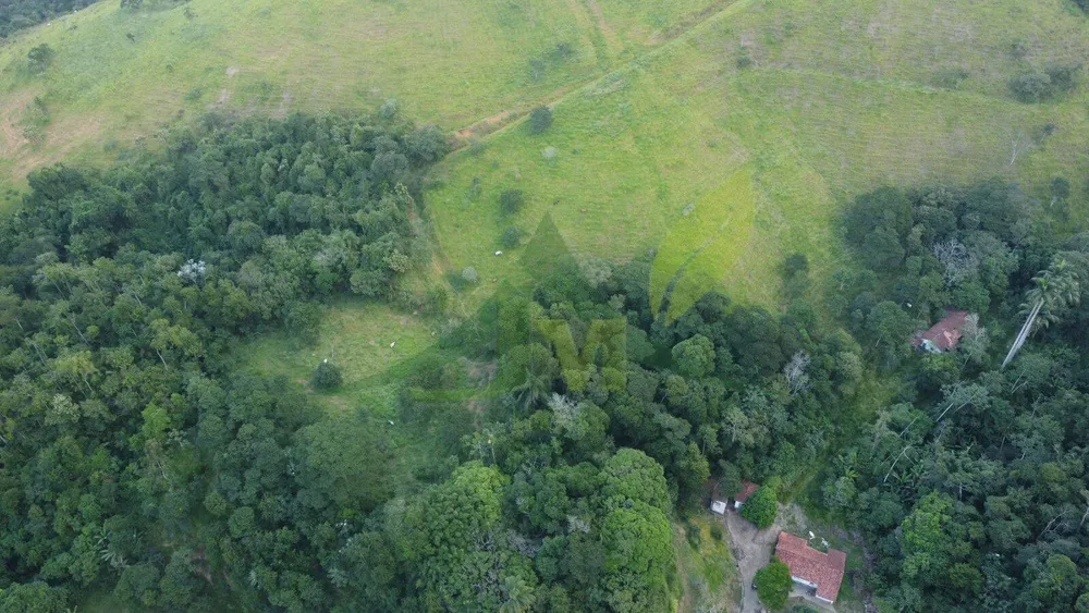 Fazenda, 436 hectares - Foto 44
