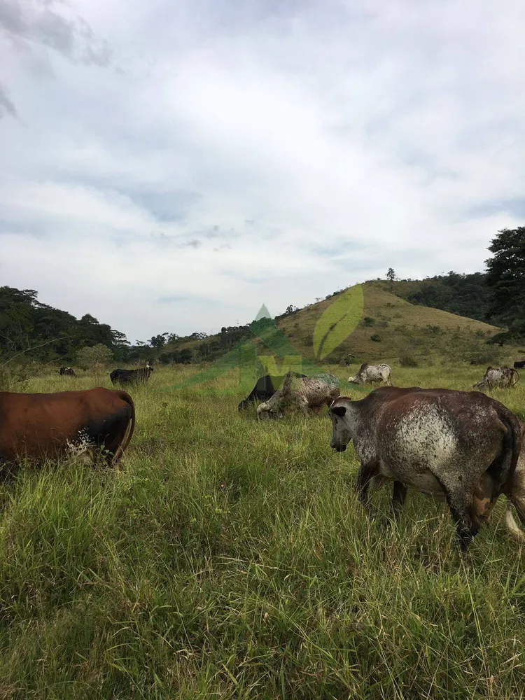Fazenda, 436 hectares - Foto 37