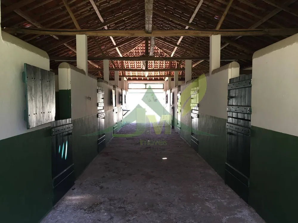 Fazenda, 436 hectares - Foto 30