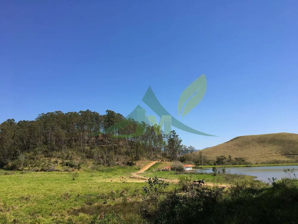Fazenda, 436 hectares - Foto 25