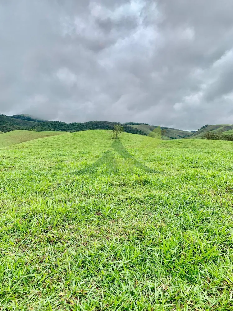 Fazenda, 436 hectares - Foto 12