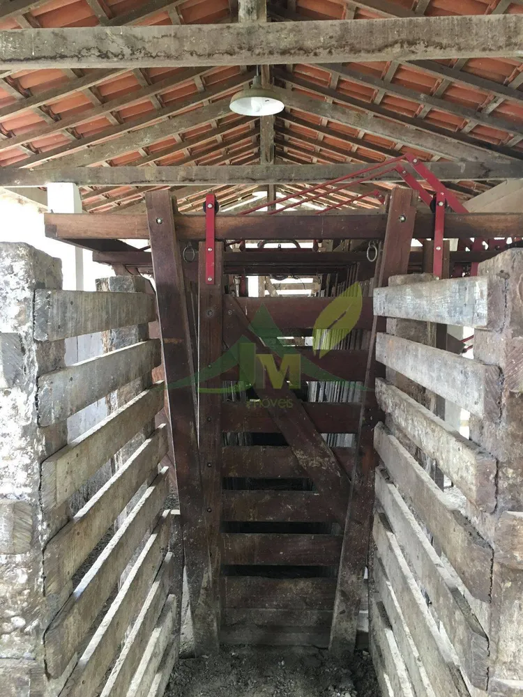 Fazenda, 436 hectares - Foto 45