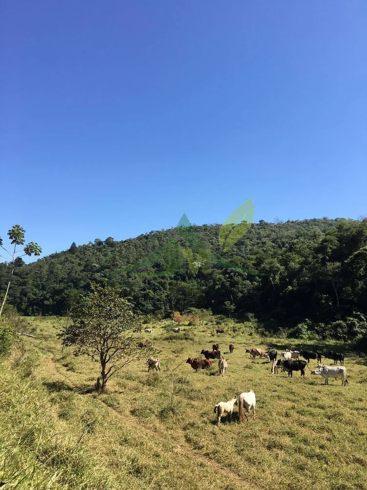 Fazenda, 436 hectares - Foto 6
