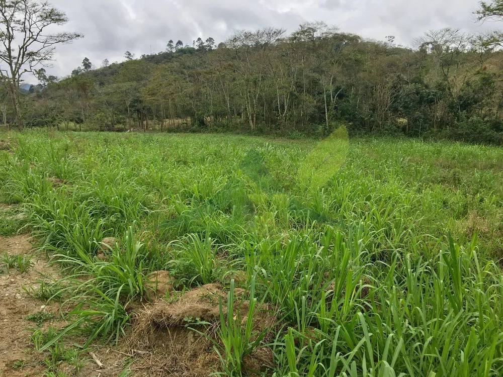 Fazenda, 436 hectares - Foto 47