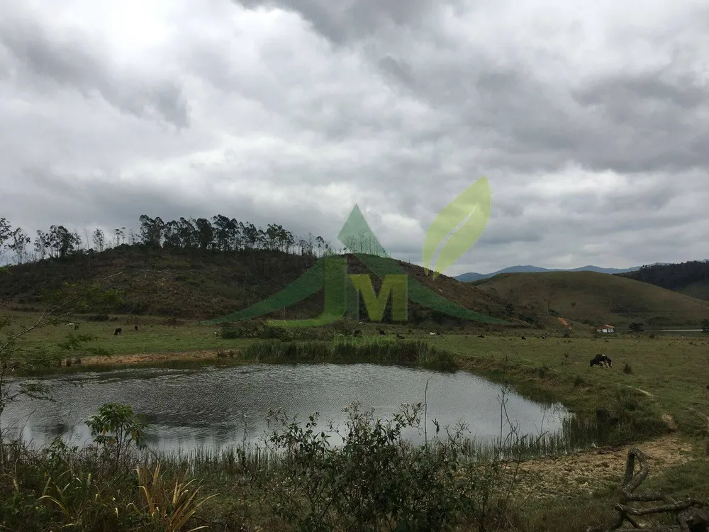 Fazenda, 436 hectares - Foto 32