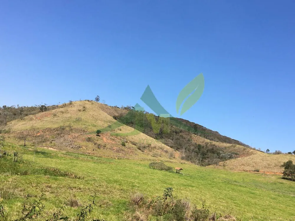 Fazenda, 436 hectares - Foto 1