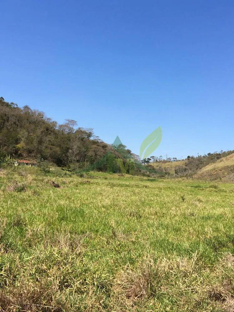 Fazenda, 436 hectares - Foto 3
