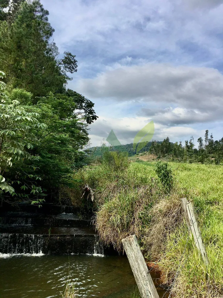 Fazenda, 436 hectares - Foto 48
