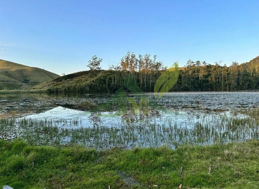 Fazenda, 436 hectares - Foto 42