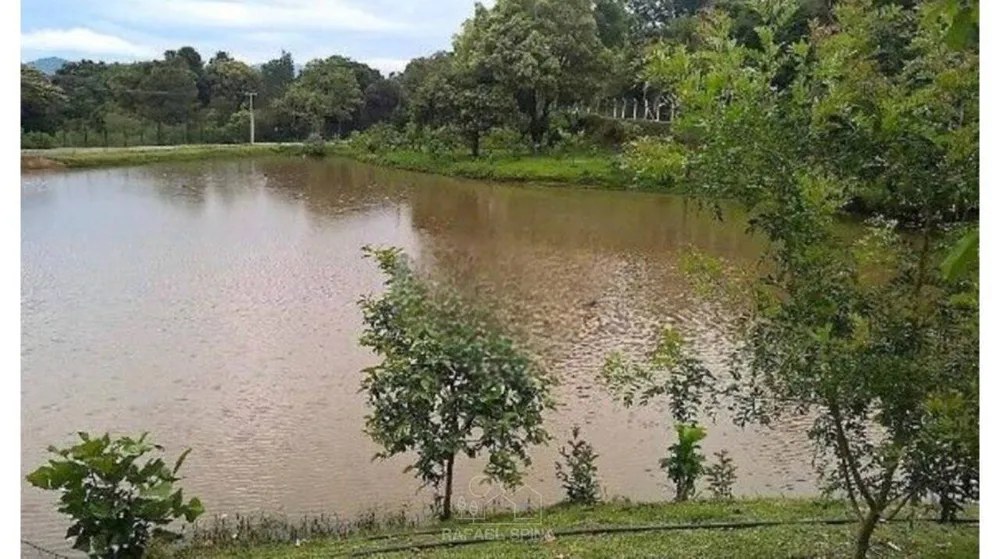 Terreno - Foto 5