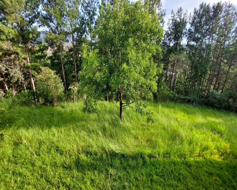 Terreno - Foto 7