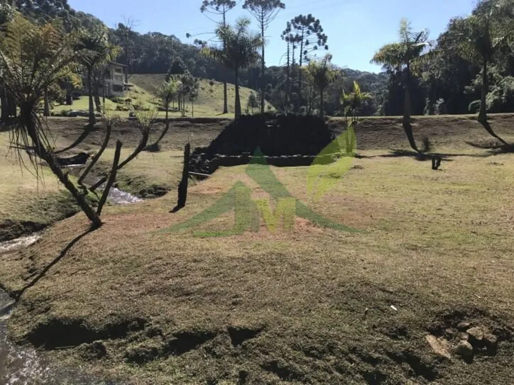 Sítio, 3 quartos, 30 hectares - Foto 6