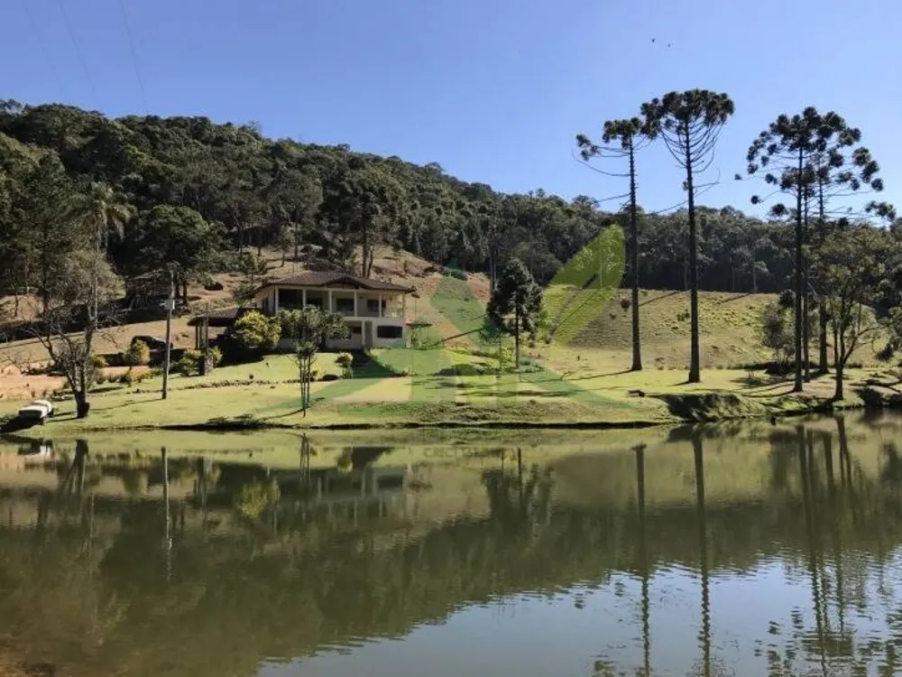 Sítio, 3 quartos, 30 hectares - Foto 1