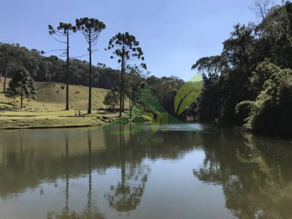 Sítio, 3 quartos, 30 hectares - Foto 3