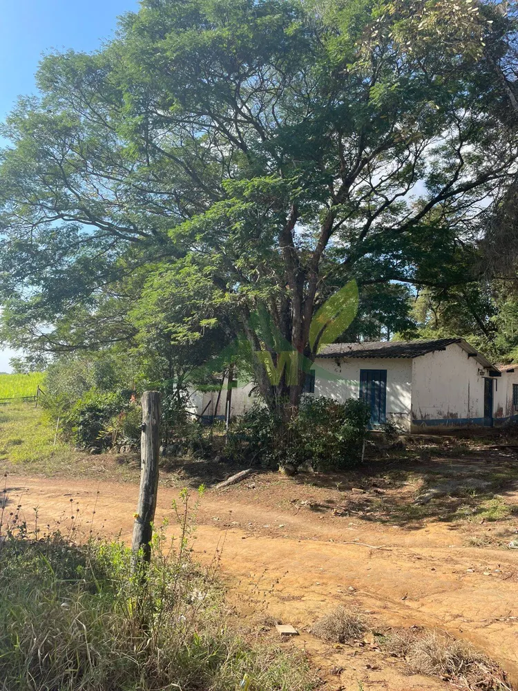 Sítio, 4 quartos, 4 hectares - Foto 3