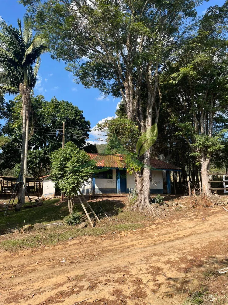 Sítio, 4 quartos, 4 hectares - Foto 3