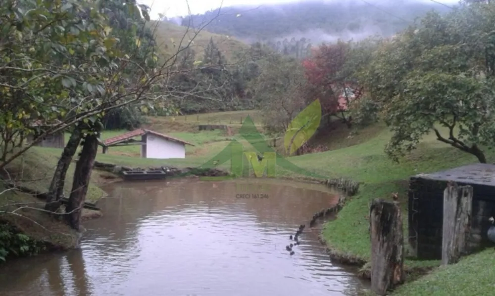 Sítio, 5 quartos, 27 hectares - Foto 10