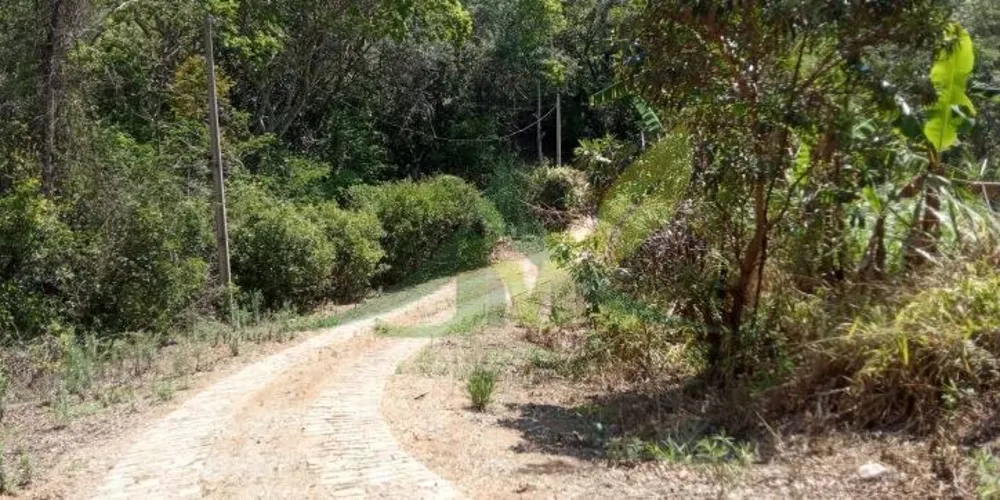 Sítio, 2 quartos, 8 hectares - Foto 4