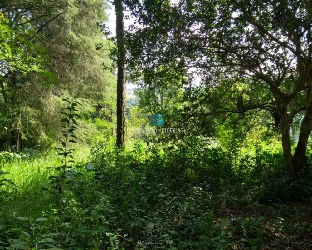 Casa - Foto 1