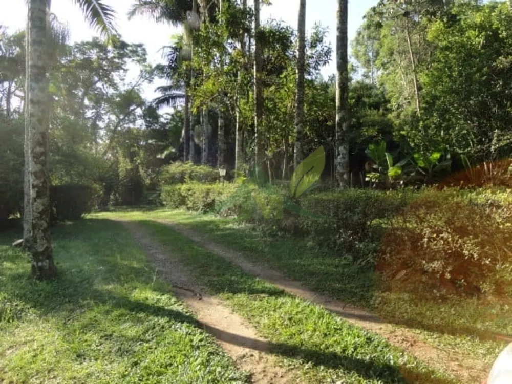 Sítio, 3 quartos, 4 hectares - Foto 1