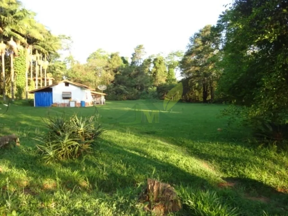 Sítio, 3 quartos, 4 hectares - Foto 8