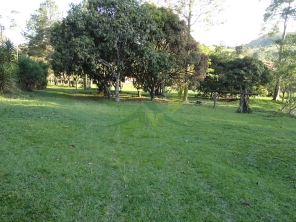 Sítio, 3 quartos, 4 hectares - Foto 11