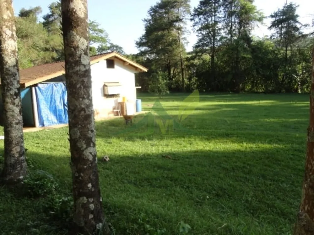 Sítio, 3 quartos, 4 hectares - Foto 2
