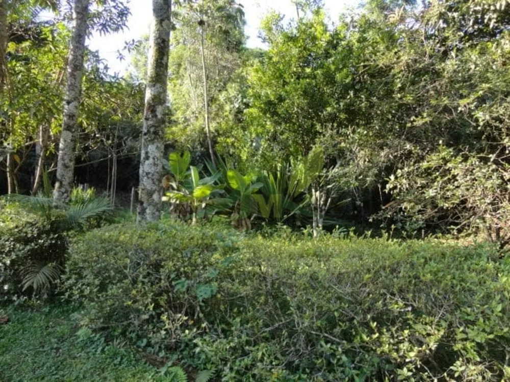 Sítio, 3 quartos, 4 hectares - Foto 4
