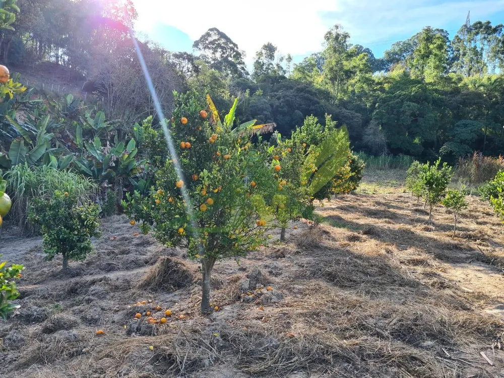 Sítio, 2 quartos, 6 hectares - Foto 7