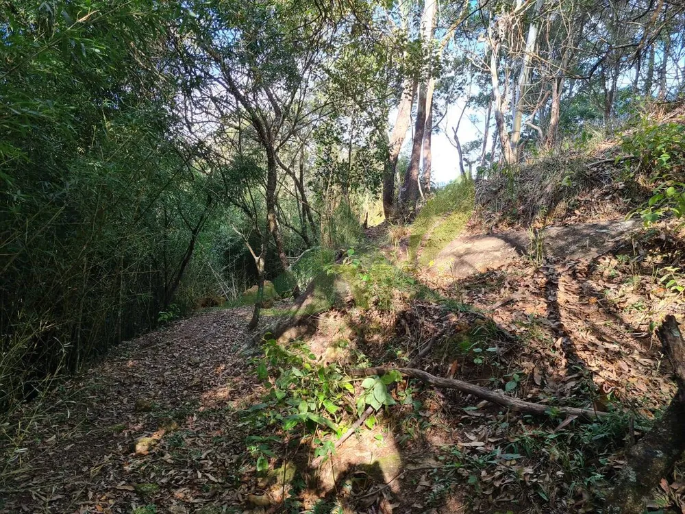 Sítio, 2 quartos, 6 hectares - Foto 11