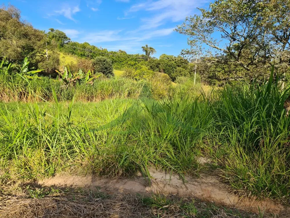 Sítio, 2 quartos, 6 hectares - Foto 4