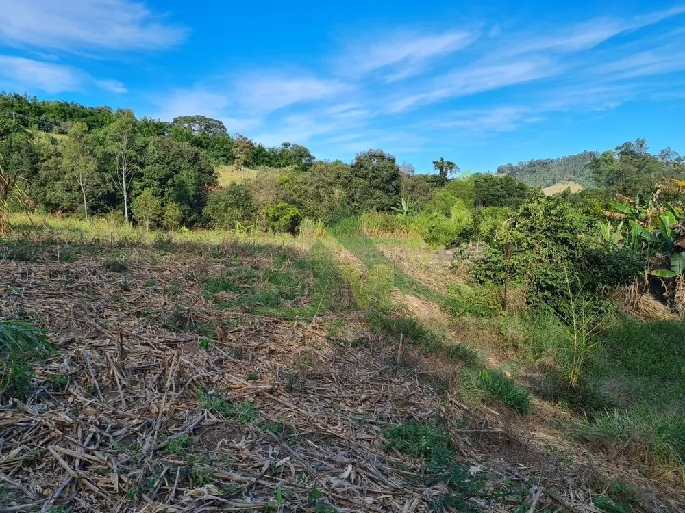 Sítio, 2 quartos, 6 hectares - Foto 1