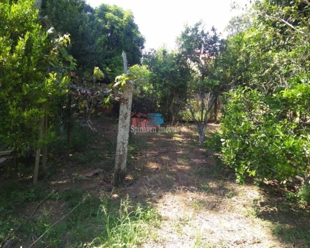 Terreno - Foto 6