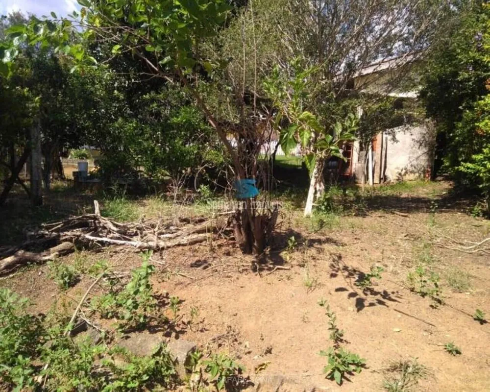 Terreno - Foto 3