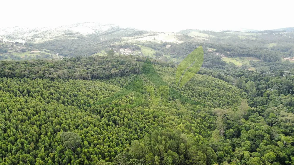 Terreno, 61 hectares - Foto 2