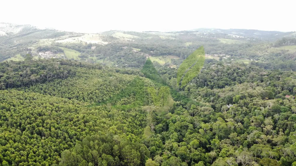 Terreno, 61 hectares - Foto 3