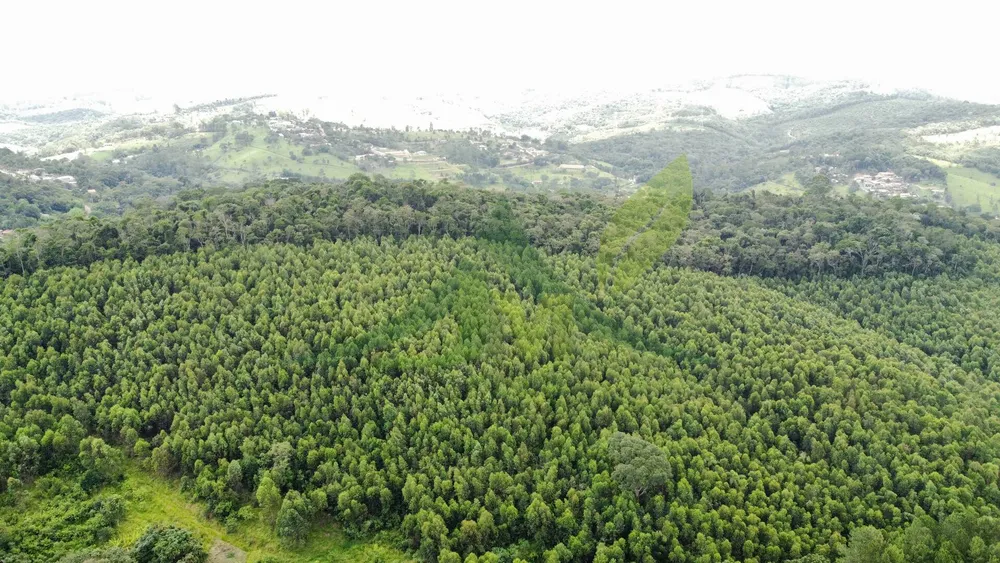 Terreno, 61 hectares - Foto 1