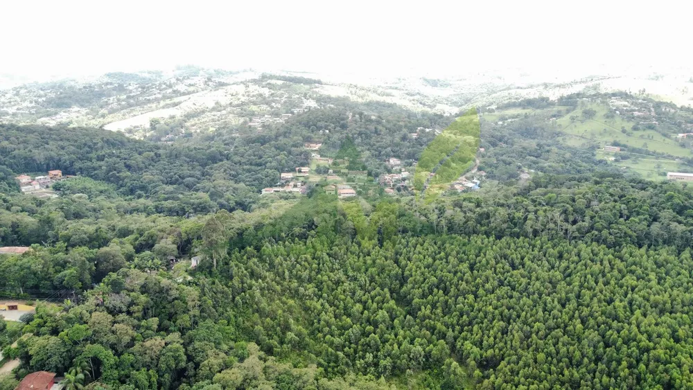 Terreno, 61 hectares - Foto 4