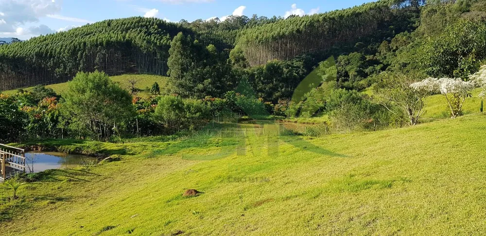 Sítio, 3 quartos, 2 hectares - Foto 9