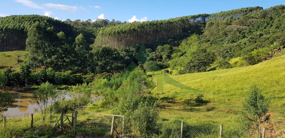 Sítio, 3 quartos, 2 hectares - Foto 12