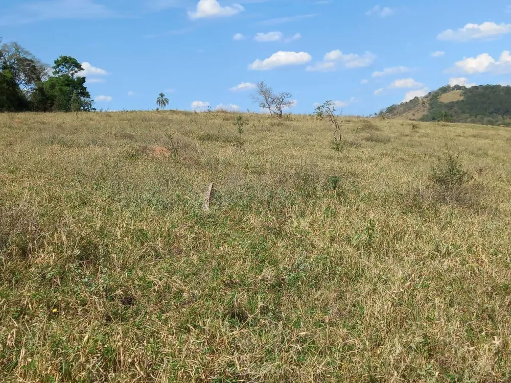 Terreno - Foto 4
