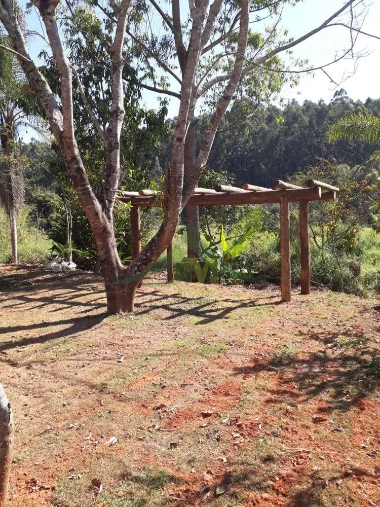 Sítio, 3 quartos, 5000 m² - Foto 1