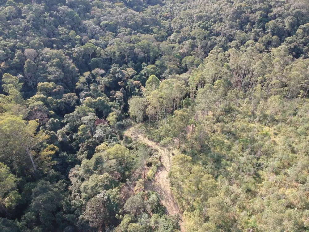 Terreno - Foto 7