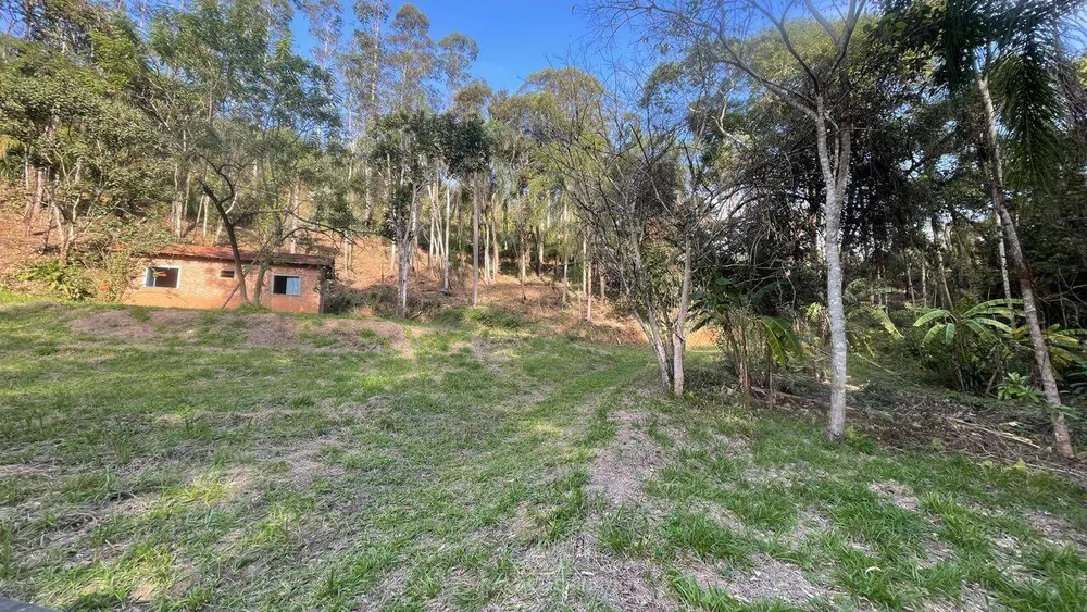 Terreno - Foto 1